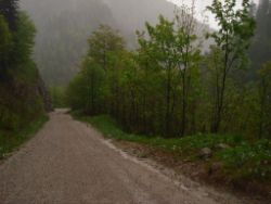 2013-06-01_Regina-F-Rau_Staffelalm_Hochwasser (162).JPG